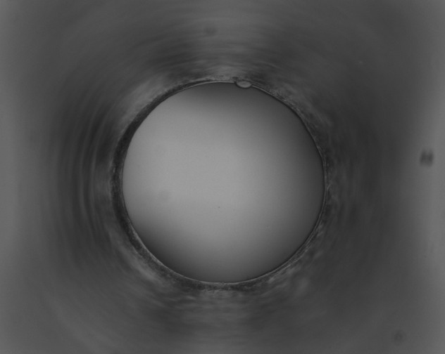 X0000091520242200708311255