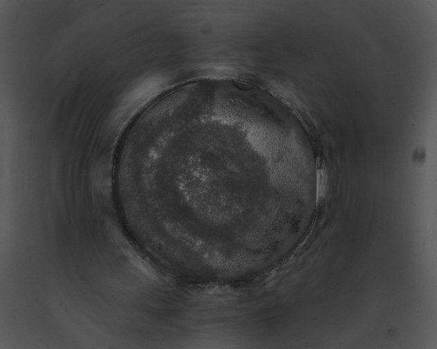 X0000091520243200708311255