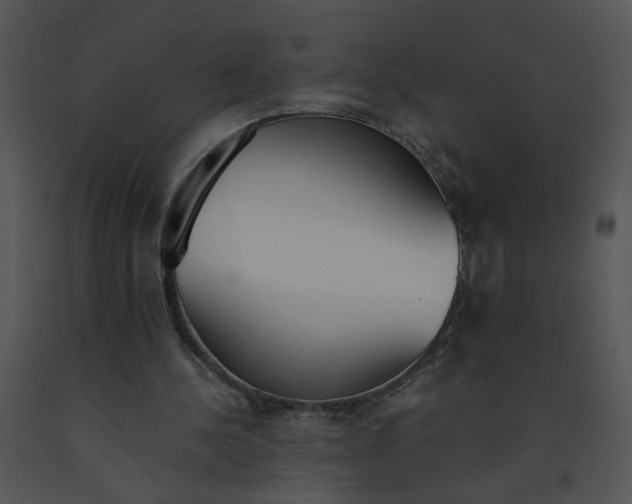 X0000091520244200708311255