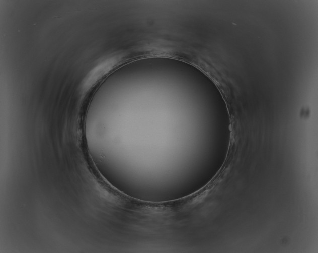 X0000091520245200708311255