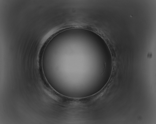 X0000091520246200708311255