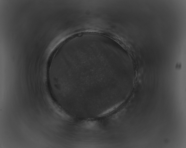 X0000091520247200708311255