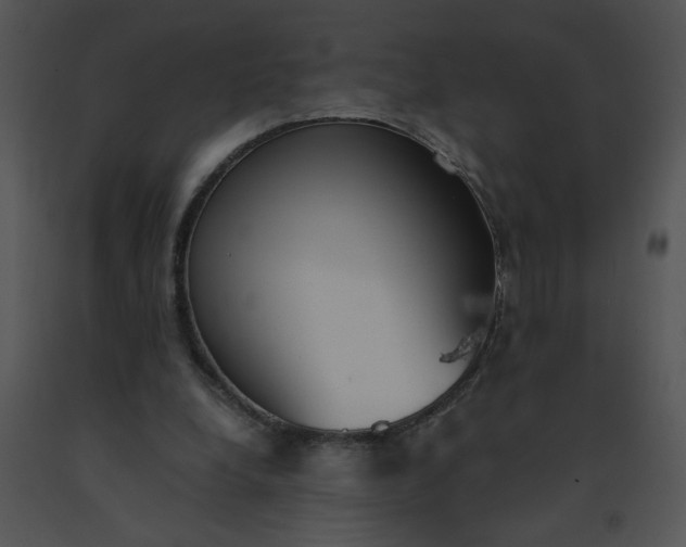 X0000091520248200708311255