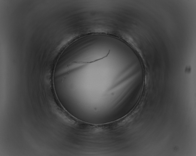 X0000091520249200708311255