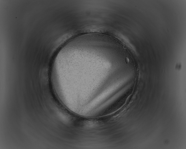 X0000091520250200708311255