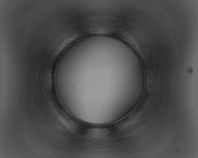 X0000091520251200708311255