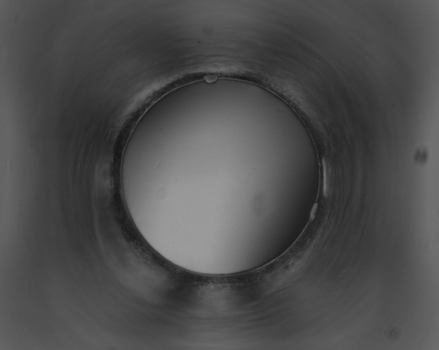 X0000091520252200708311255