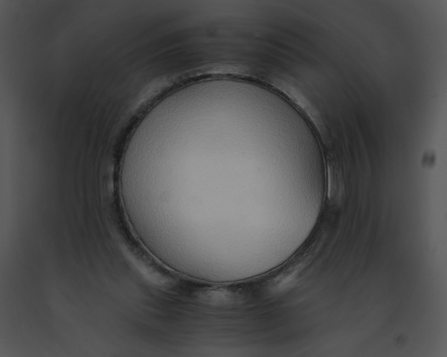 X0000091520253200708311255