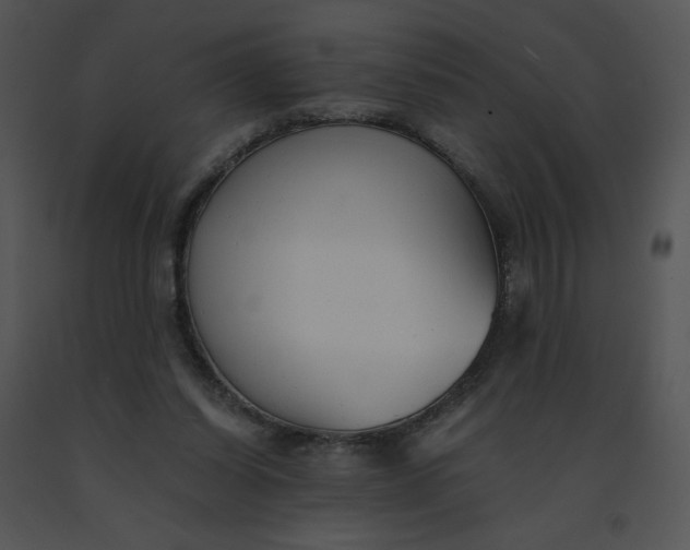 X0000091520254200708311255