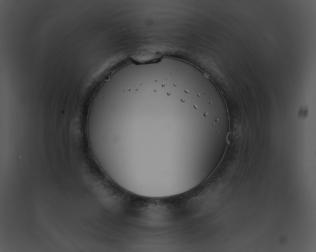 X0000091520256200708311255