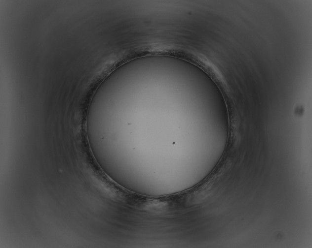 X0000091520257200708311255