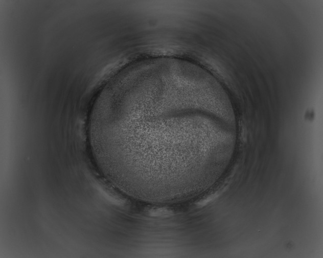 X0000091520258200708311255