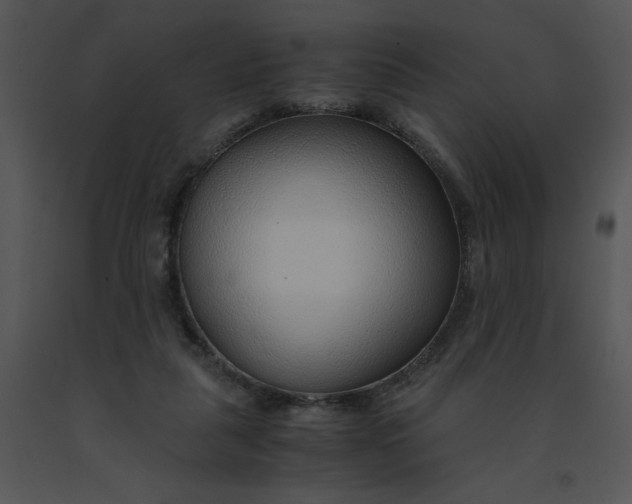 X0000091520259200708311255