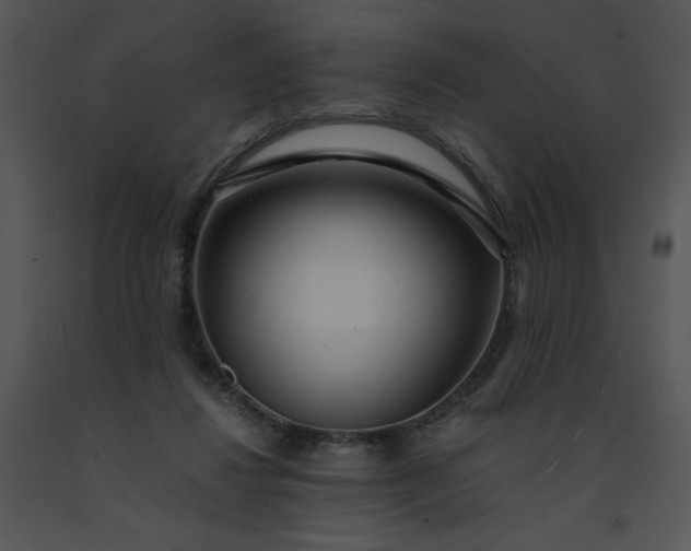 X0000091520260200708311255