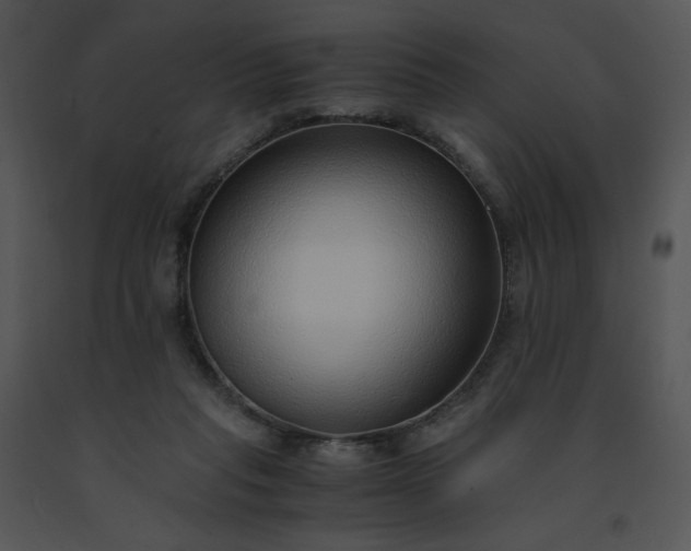 X0000091520261200708311255