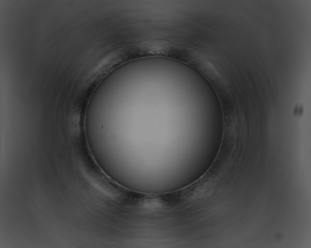 X0000091520262200708311255