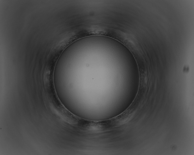 X0000091520263200708311255