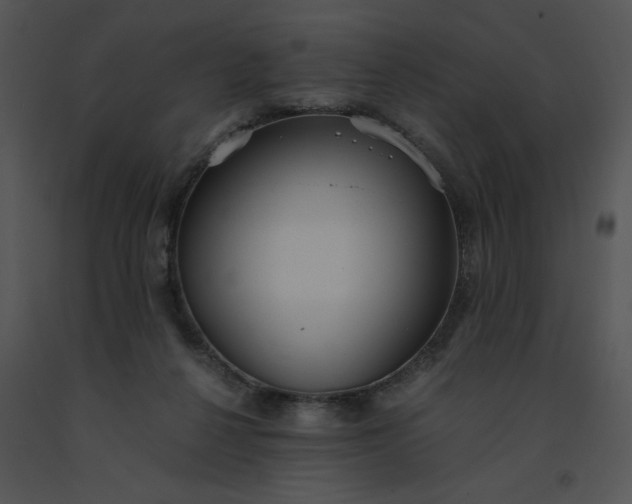 X0000091520264200708311256