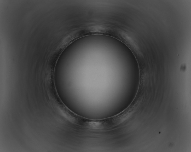 X0000091520265200708311256