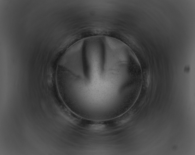 X0000091520266200708311256