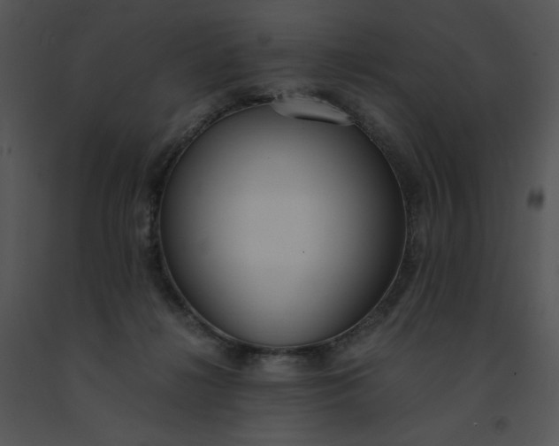 X0000091520268200708311256