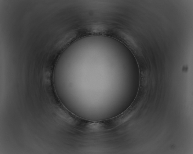 X0000091520269200708311256