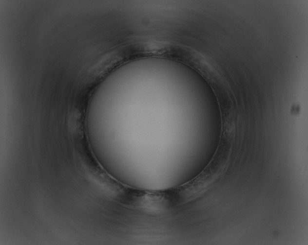 X0000091520270200708311256