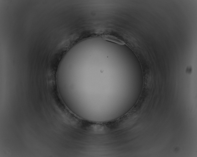 X0000091520272200708311256