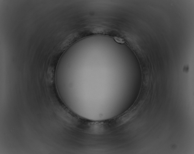 X0000091520273200708311256