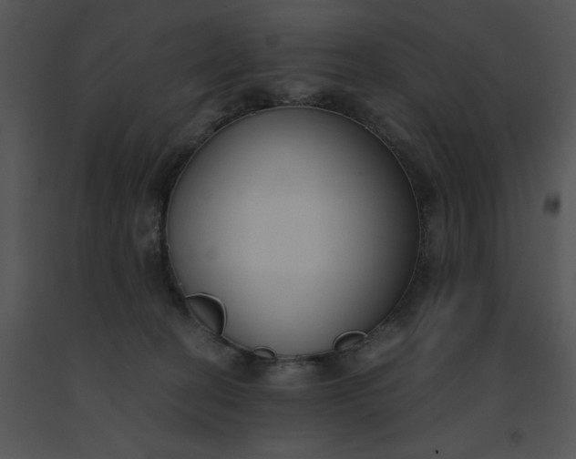 X0000091520274200708311256