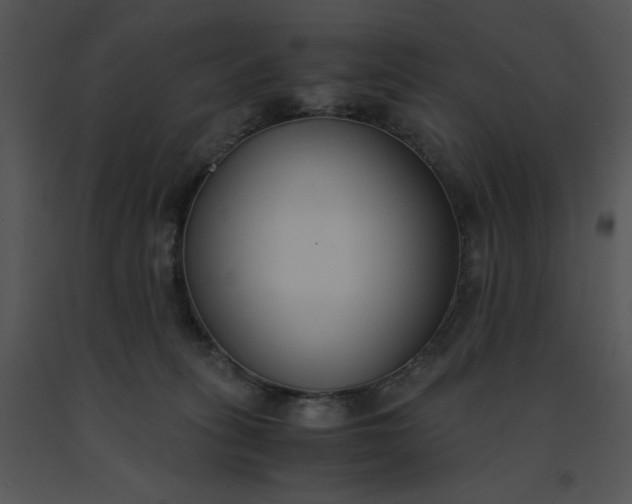 X0000091520275200708311256