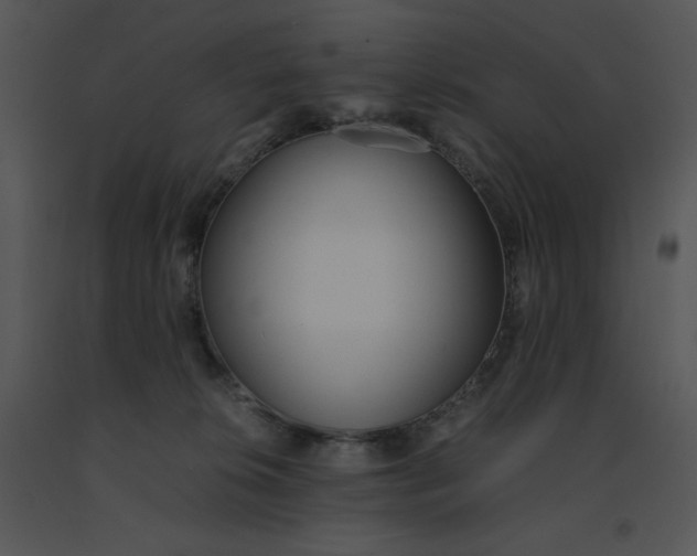 X0000091520276200708311256