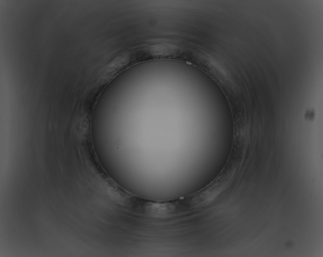 X0000091520277200708311256