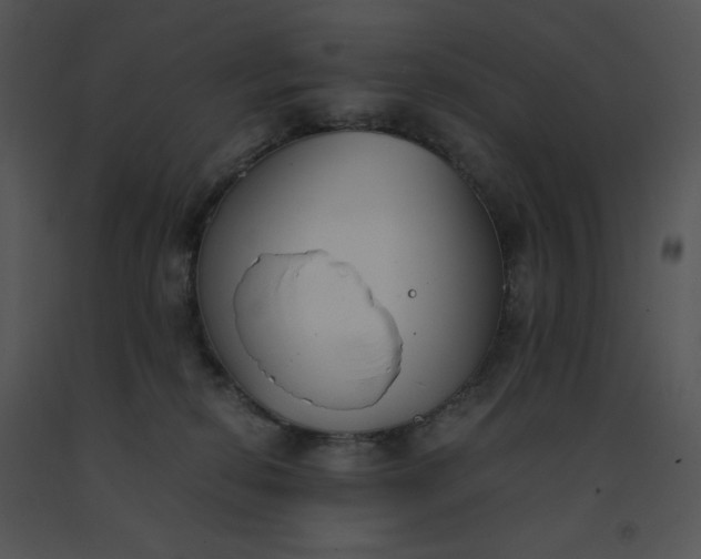 X0000091520278200708311256