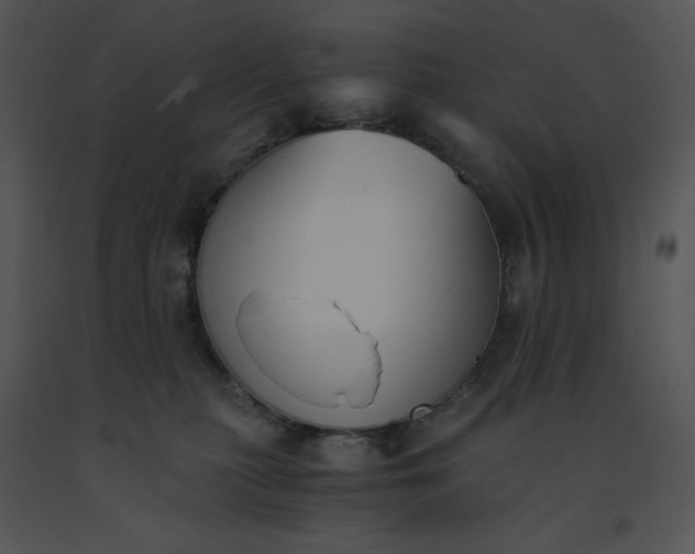 X0000091520279200708311256