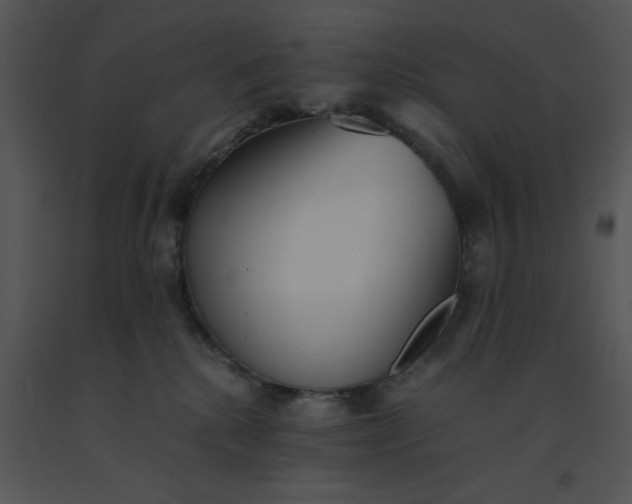 X0000091520280200708311256