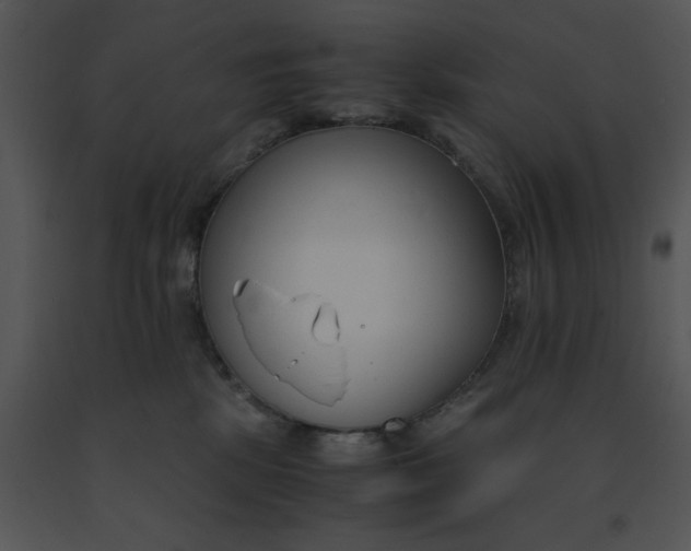 X0000091520281200708311256