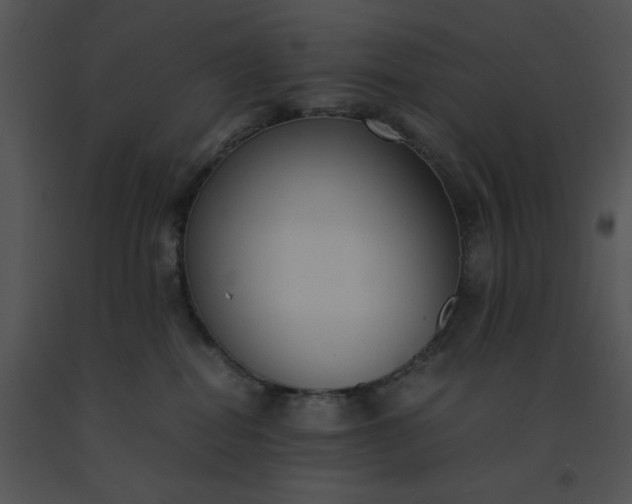 X0000091520282200708311256