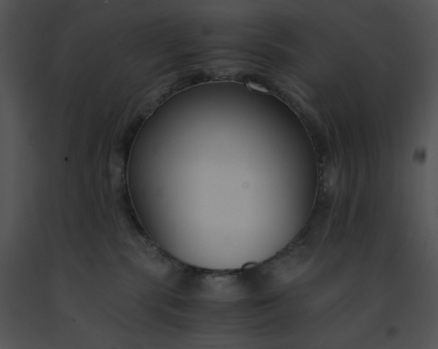 X0000091520283200708311256