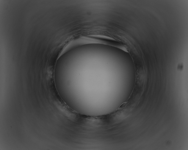 X0000091520284200708311256