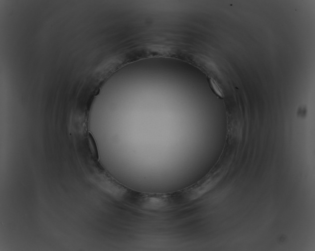 X0000091520285200708311256