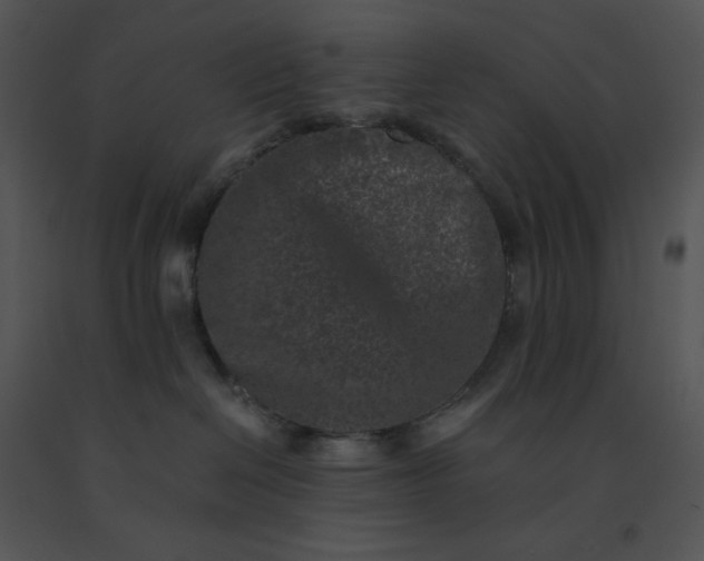 X0000091520286200708311256