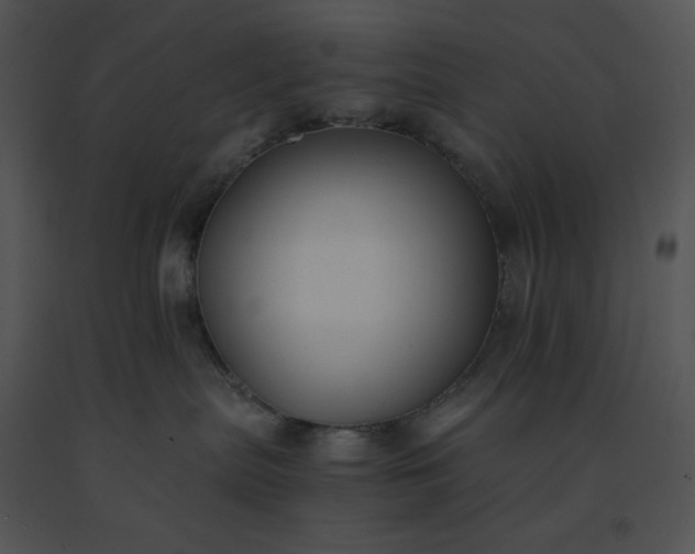 X0000091520287200708311256