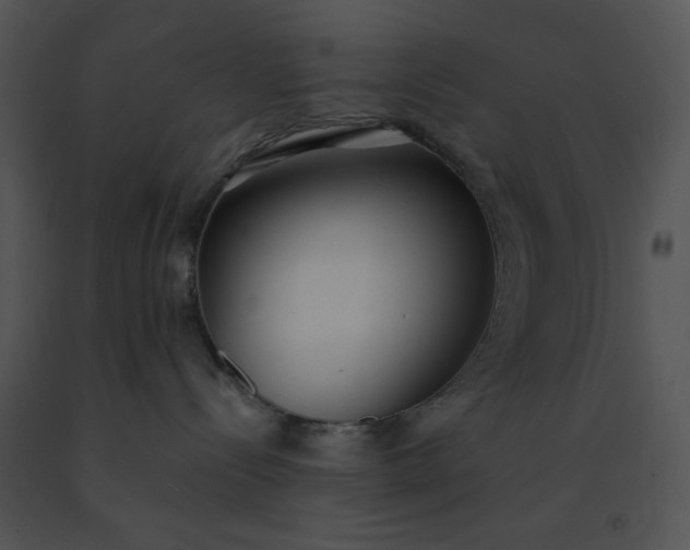 X0000091520288200708311256