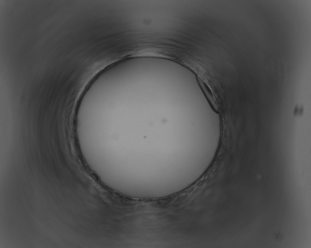 X0000091520289200708311255