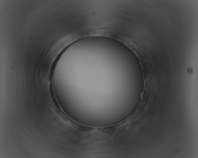 X0000091520290200708311255