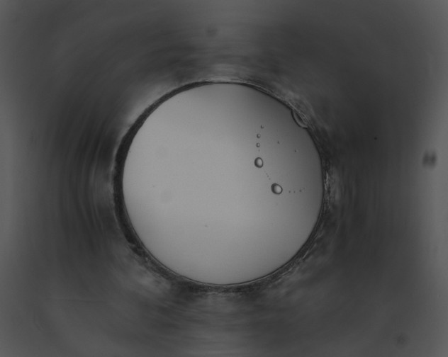 X0000091520292200708311255