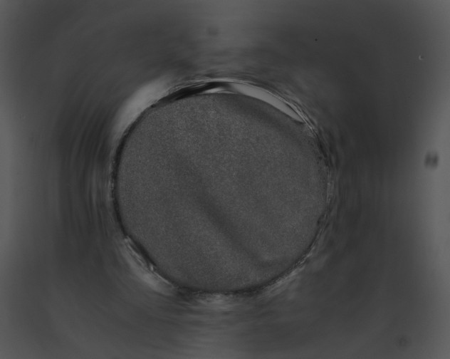 X0000091520293200708311255