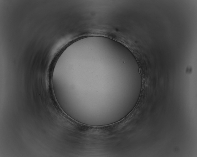 X0000091520294200708311255