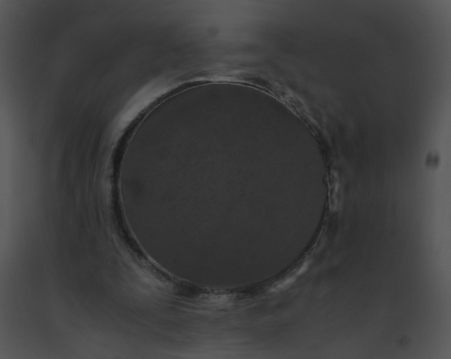 X0000091520295200708311255